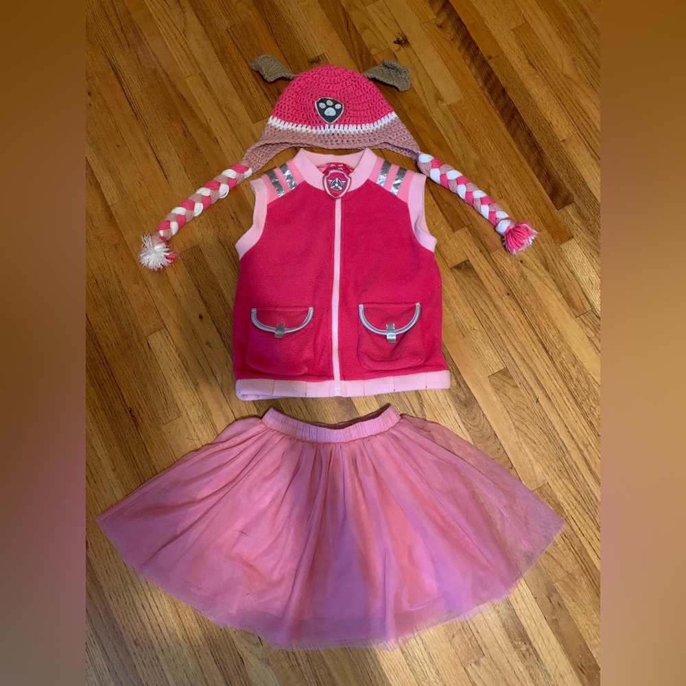 Paw Patrol Skye Costume